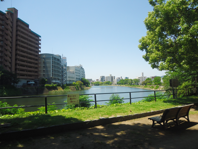 川沿いの景色